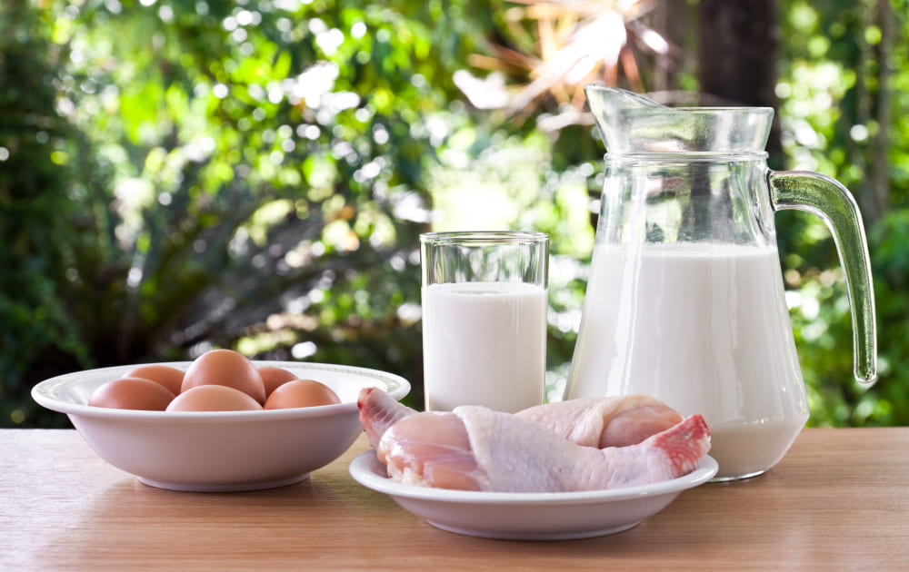 Protein to boost milk supply for pregnant mothers